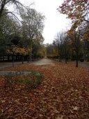 PB140008-128x171.JPG