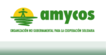 logo_amycos-106x55.png