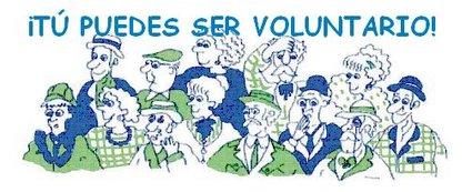 logo_voluntariado_LETRAS-425x173.jpg