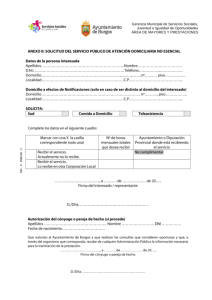 anexo-ii-solicitud-atencion-domiciliaria-no-esencial.pdf