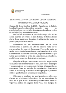 Lesion_con_cuchillo_y_queda_detenido.pdf