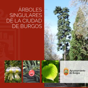 Publicacion_Arboles_Singulares_0.pdf