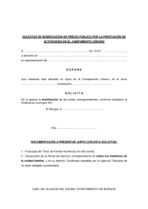 solicitud-de-bonificacion-campamentos-urbanos.pdf