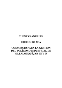 9-cuentas-anuales-consorcio-villalonquejar-2016.pdf