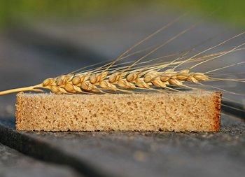 table-wheat-grain-home-village-dish-573583-pxhere.com_-350x253.jpg