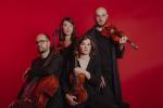 Cosmos Quartet (1)