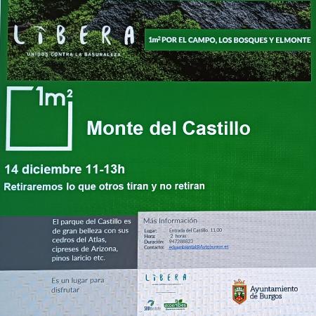 Image Recogida de Basuraleza en el Cerro del castillo, el domingo 14 de...