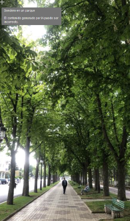 Image Informe anual del Plan Director de Arbolado (PDA)