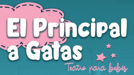 Cabecera web Ppal gatas 2022