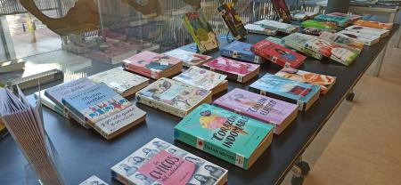 Image Literatura Chick Lit