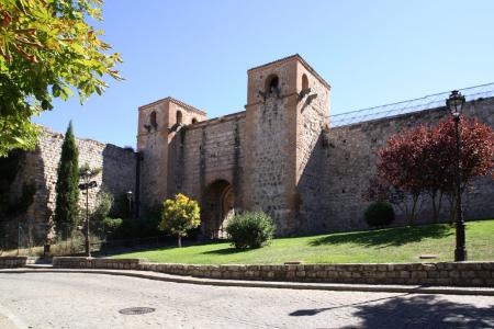 Image Gate of San Esteban