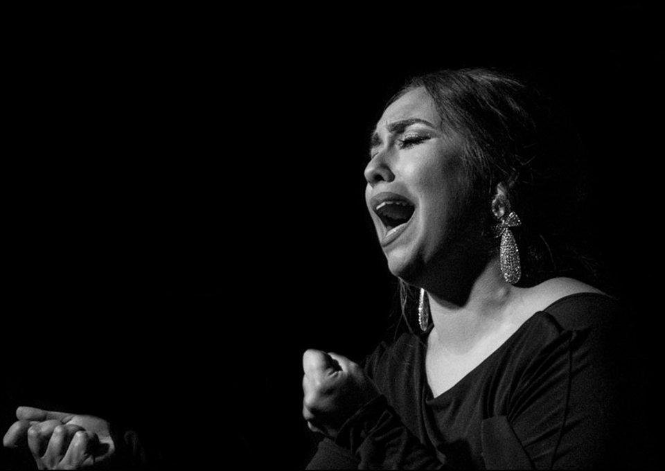 Imagen Noches Flamencas