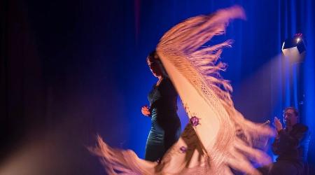 Flamenco. Cuadro Flamenco de Lita Blanco: “Luz y sombras”.