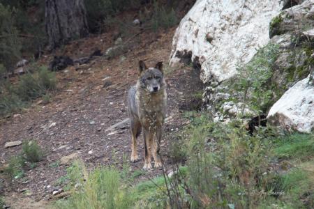 ¡Ojo avizor! (Exposición fotográfica)